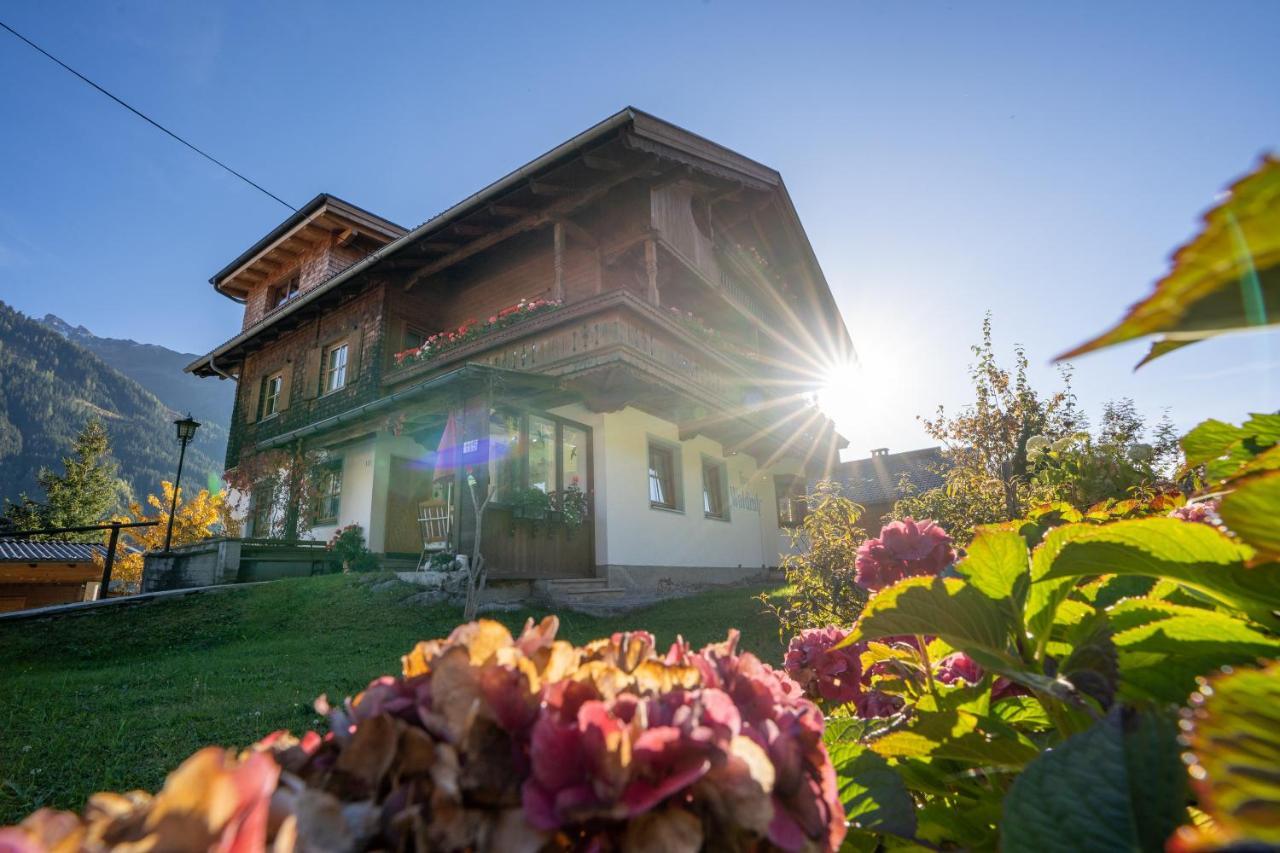 Gaestehaus Waldruh Brandberg Екстер'єр фото
