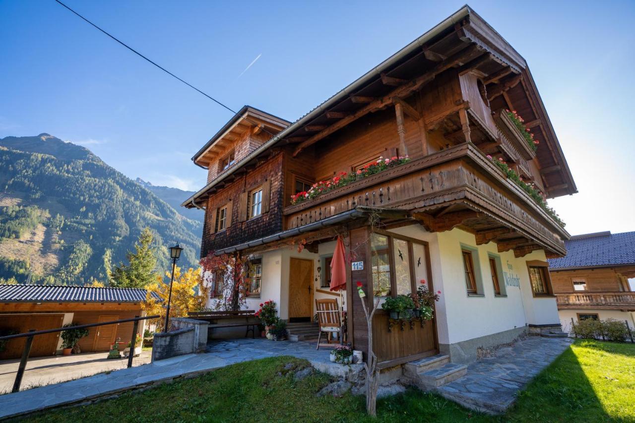 Gaestehaus Waldruh Brandberg Екстер'єр фото